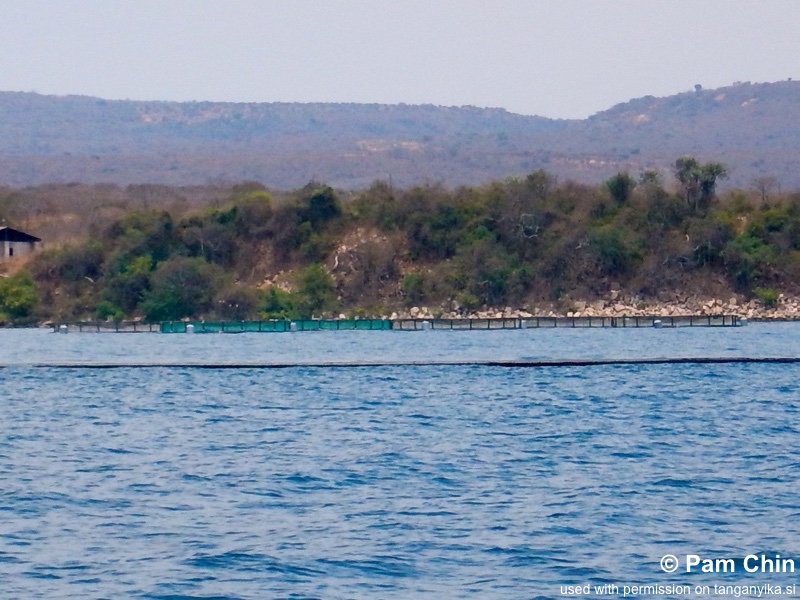 Cape Kachese, Mpende Fisheries 02